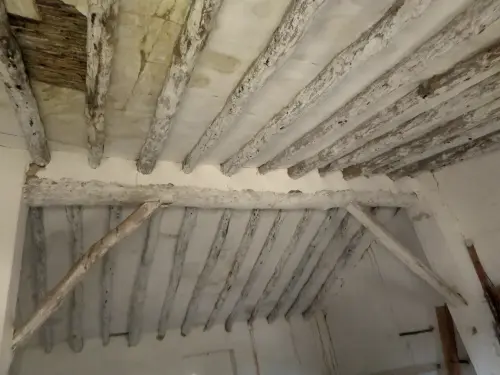 Elem.const .010-Techumbre-paloscanizo9