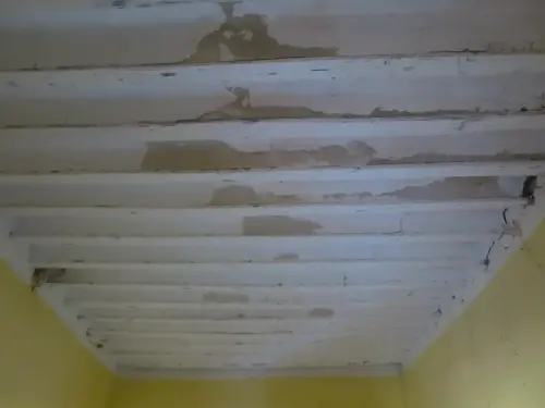 Elem.const .012-Techos11