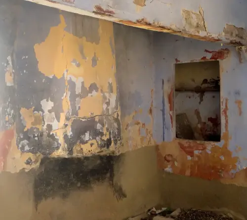 Elem.const .024-Alacena9