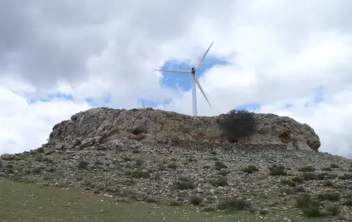 Elem.const .032-Tina-de-ganado