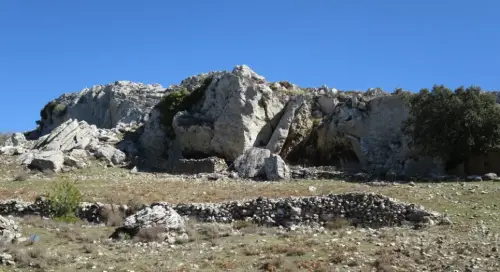 Elem.const .032-Tina-de-ganado14