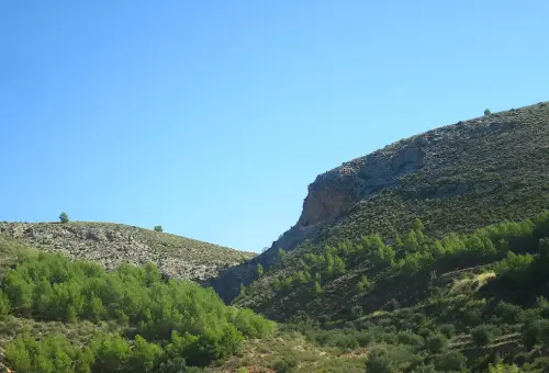 Elem.const .032-Tina-de-ganado15