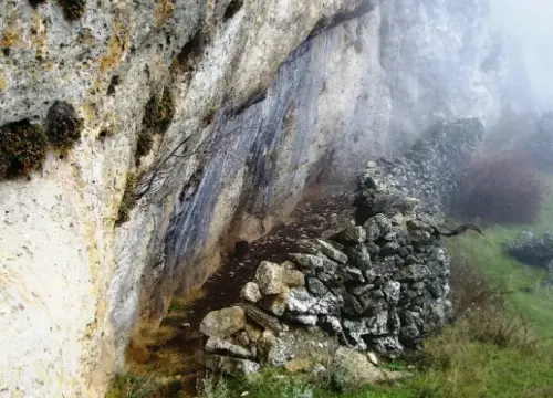 Elem.const .032-Tina-de-ganado17