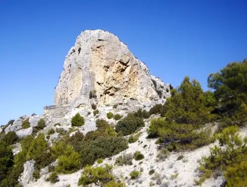 Elem.const .032-Tina-de-ganado19