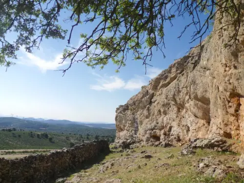 Elem.const .032-Tina-de-ganado2