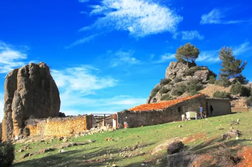 Elem.const .032-Tina-de-ganado21