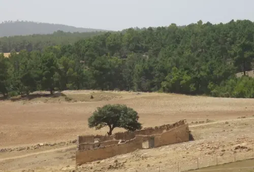 Elem.const .032-Tina-de-ganado22