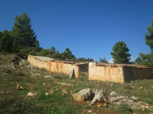 Elem.const .032-Tina-de-ganado23