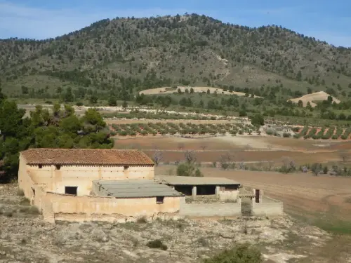 Elem.const .032-Tina-de-ganado29