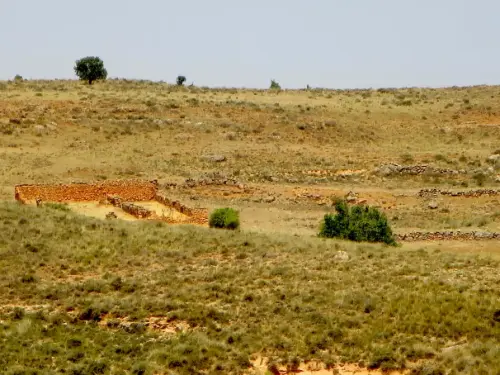 Elem.const .032-Tina-de-ganado33