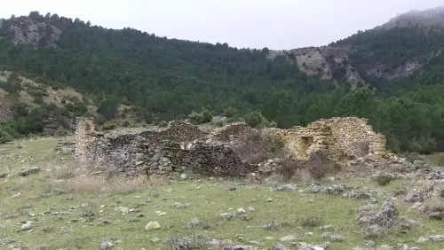 Elem.const .032-Tina-de-ganado38