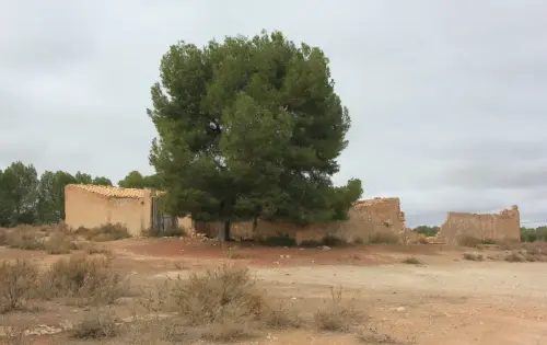 Elem.const .032-Tina-de-ganado40