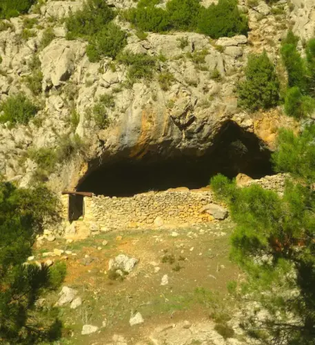 Elem.const .032-Tina-de-ganado43