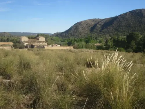 Elem.const .032-Tina-de-ganado47