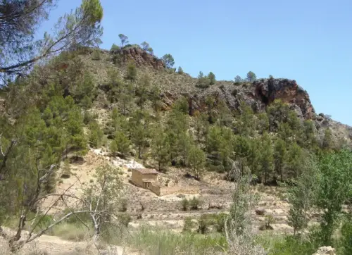 Elem.const .032-Tina-de-ganado48