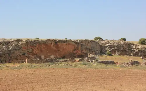 Elem.const .032-Tina-de-ganado49