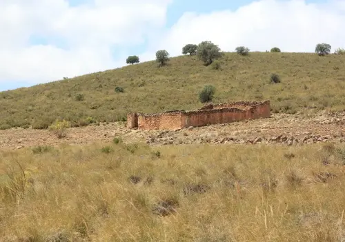 Elem.const .032-Tina-de-ganado51