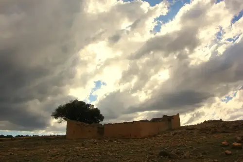 Elem.const .032-Tina-de-ganado52