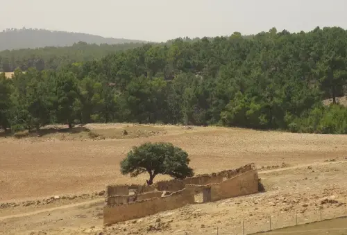 Elem.const .032-Tina-de-ganado53