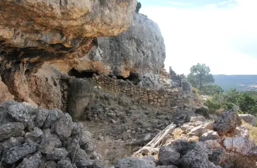 Elem.const .032-Tina-de-ganado7