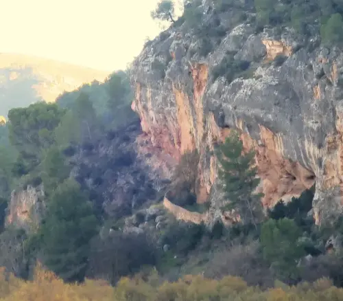 Elem.const .032-Tina-de-ganado8