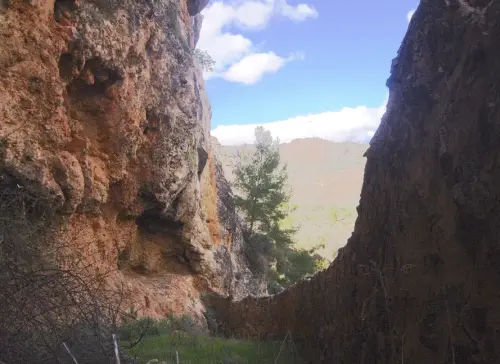 Elem.const .032-Tina-de-ganado8a