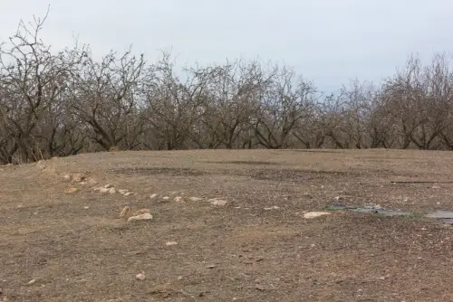 Elem.const .033-Era-de-trillar17