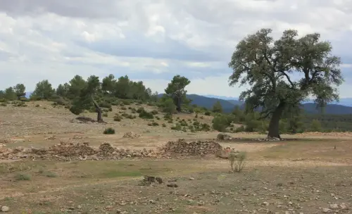 Elem.const .033-Era-de-trillar21