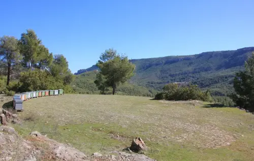 Elem.const .033-Era-de-trillar6