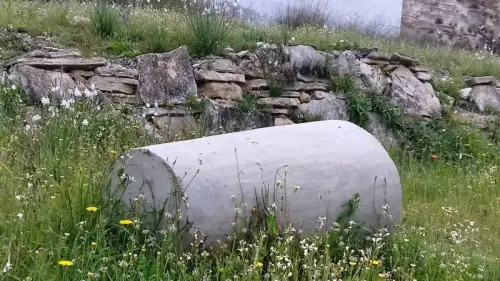 Elem.const .033-Rulo-de-trillar13