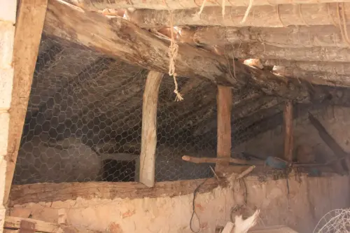 Elem.const .037-Gallinero4