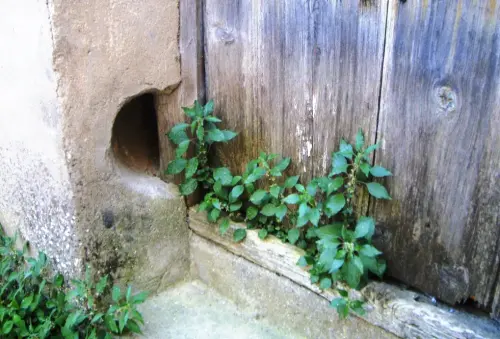 Elem.const .038-Gatera