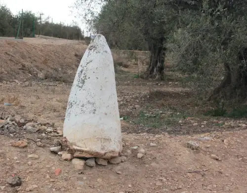 Elem.const .042-Mojon20