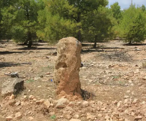 Elem.const .042-Mojon27