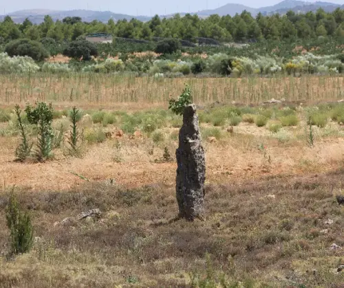 Elem.const .042-Mojon28