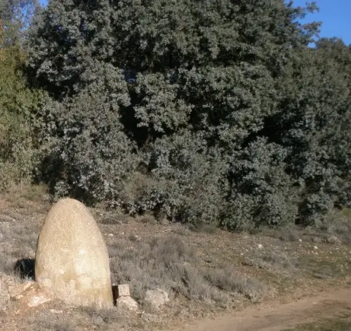 Elem.const .042-Mojon3