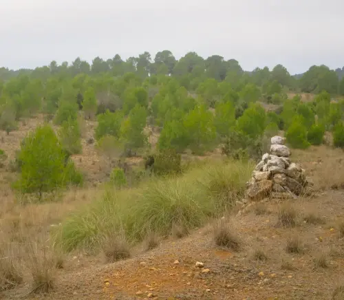 Elem.const .042-Mojon9