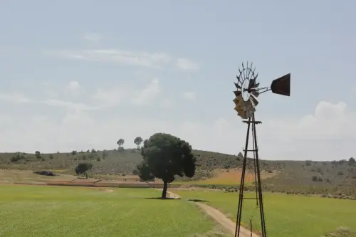 Elem.const .049-Molineta3