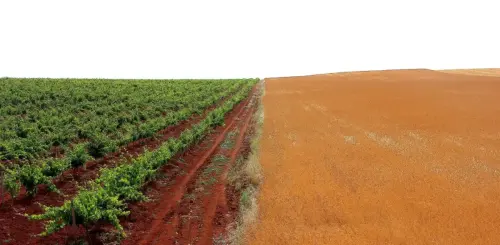 Comarca de La Mancha